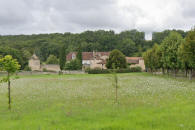manoir de la Rivi�re-aux-Chirets � Chauvigny
