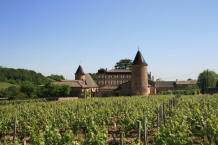 château de Chasselas