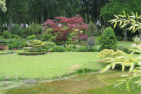 chteau de Courances - jardin anglo-japonais