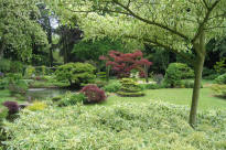 chteau de Courances - jardin anglo-japonais