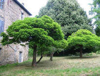 ch�teau de Fassion  Saint Etienne de Saint Geoirs