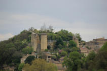 chteau fort de Grne