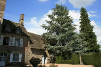 Ch�teau de la VigneAlly