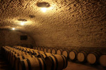 ch�teau de Pierreclos