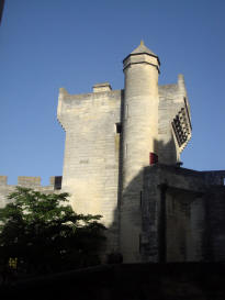 ch�teau de Tarascon
