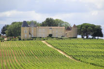 ch�teau d'Yquem   Sauternes