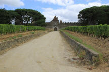 chteau Yquem   Sauternes