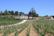 chteau Fonplgade   Saint Emilion