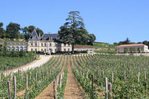 chteau Fonplgade   Saint Emilion