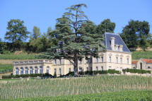 ch�teau Fonpl�gade   Saint Emilion