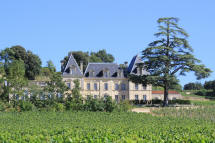 chteau Fonplgade   Saint Emilion