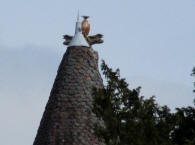 logis de la Fen�tre � Saint-Sornin