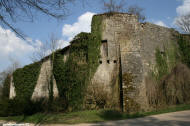 chateau fort de pierrefort 54 Martincourt