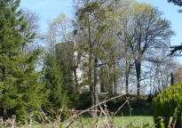 chateau de thuret-donjon