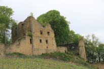 chateau d'Arlay Jura