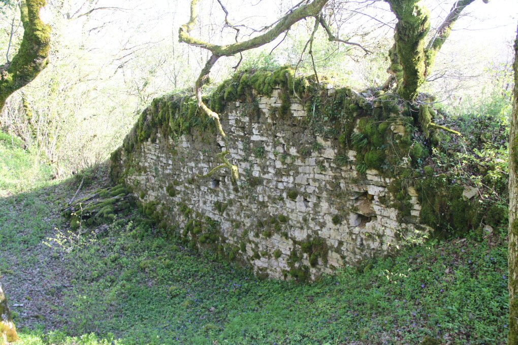 chateau de Binans à Publy, visite des extérieurs (vestiges)