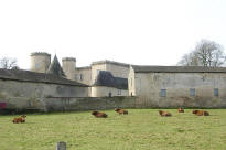 Chteau de Cromires Cussac