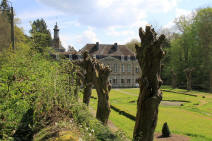 Ch�teau d'En-Bas � Arbre