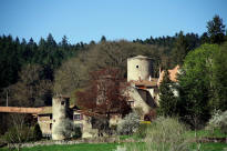Château de la Merlée