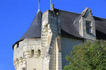 chateau de la Motte à Usseau