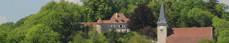 chateau de Montfleur