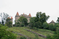 Château de Montfort Vernet la Varenne