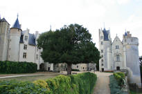 château de Montreuil Bellay