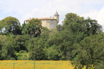 ch�teau de Puycalvel