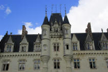 chateau de Savigny sous Faye