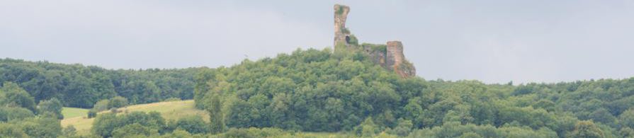 Ch�teau de Coppel Saint-Julien-de-Coppel