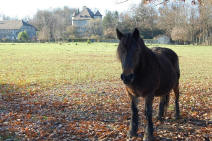 chateau de Thuyset  Thonon les Bains