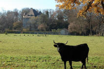 chateau de Thuyset  Thonon les Bains