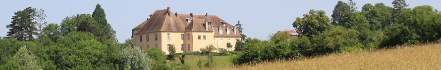 château d'Uzel Pelousey