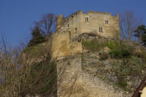 château Delphinal