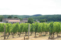 Ch�teau des BouyssesMercu�s