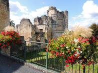 ch�teau de Montguyon