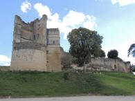ch�teau de Montguyon
