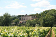 ch�teau de Cayx � Luzech