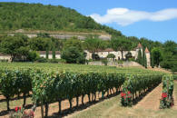 ch�teau de Cayx � Luzech