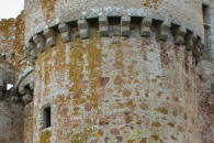 chateau de l'Ebaupinaye - Le Breuil sous Argenton