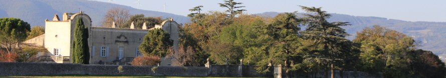 château de Genas - Cléon d'Andran