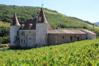 chateau de la Palud  Quinci-en-Beaujolais