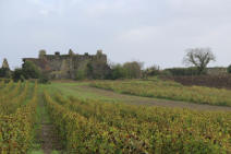 chateau de Montfaucon  Marigny Brizay