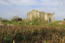 chateau de Montfaucon  Marigny Brizay