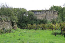 chateau de Montfaucon  Marigny Brizay