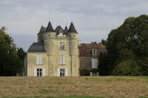 chateau de Naintré