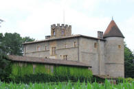 chateau de Tanay  Saint-Didier-de-Formans