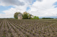 chateau Latour � Pauillac