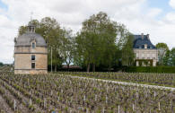 chateau Latour  Pauillac